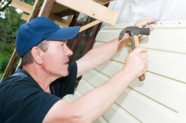 Best Fascia and Soffit Installation  in Meadow Les, AK