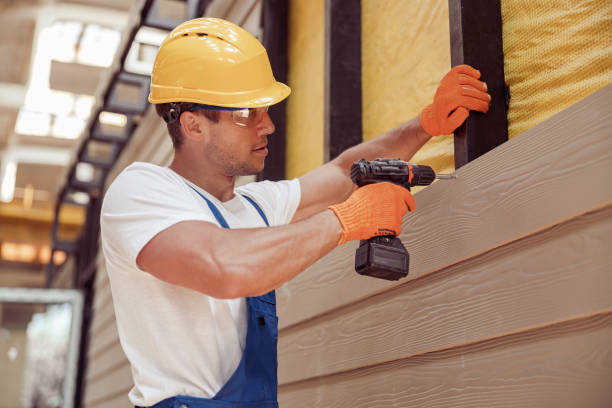 Best Siding Painting and Refinishing  in Meadow Les, AK