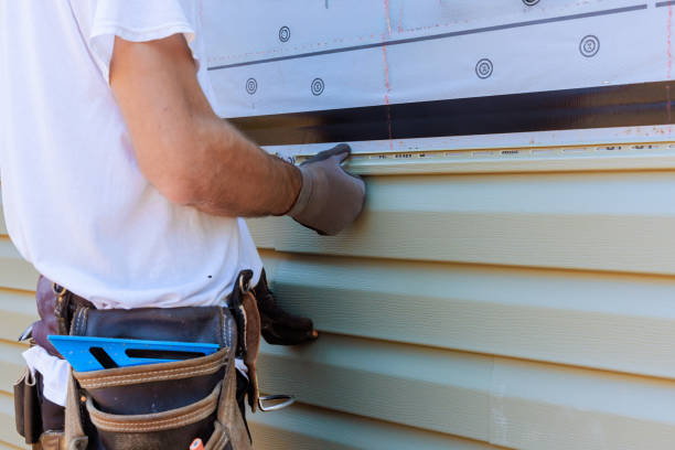 Trusted Meadow Lakes, AK Siding Experts